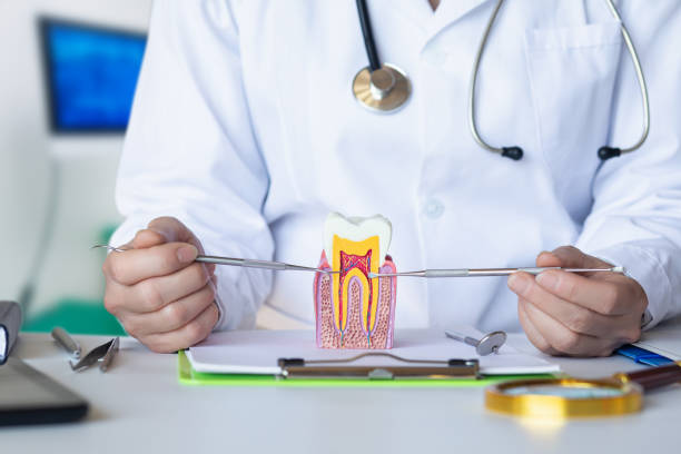 Best Emergency Broken Tooth Repair in Tyrone, PA